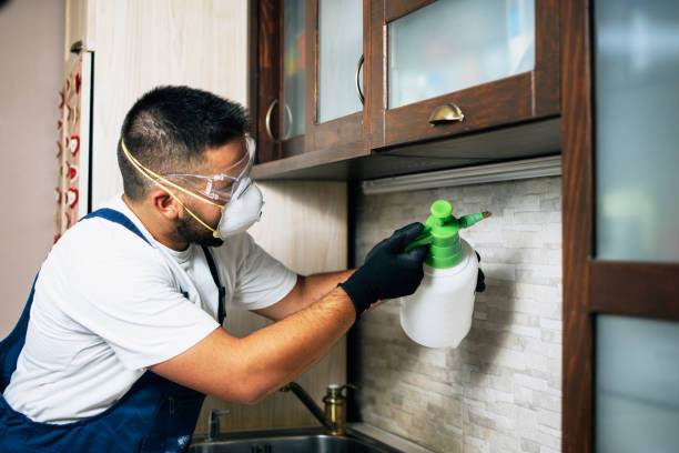 Best Pest Inspection Near Me  in Summerfield, NC