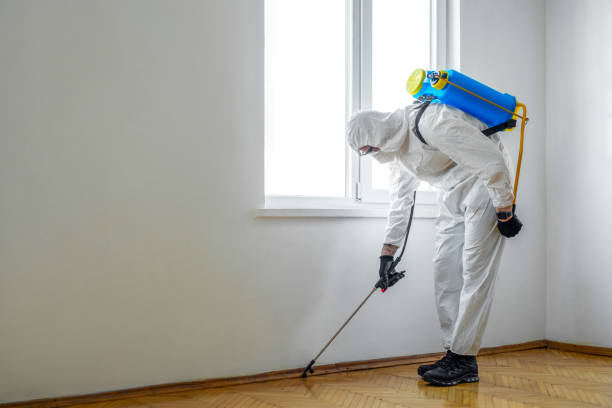 Professional Pest Control in Summerfield, NC