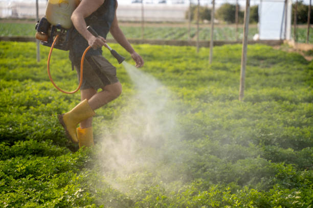 Best Pest Control Near Me  in Summerfield, NC