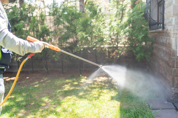 Best Wasp Removal Services  in Summerfield, NC