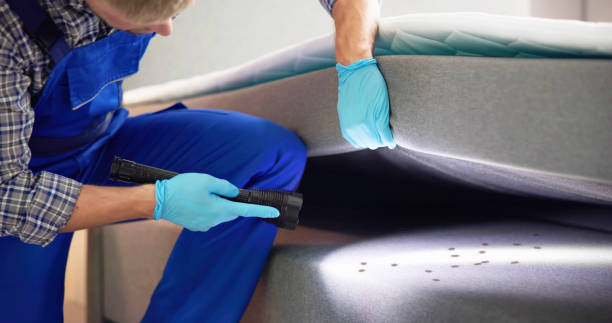 Best Ant Control Services  in Summerfield, NC
