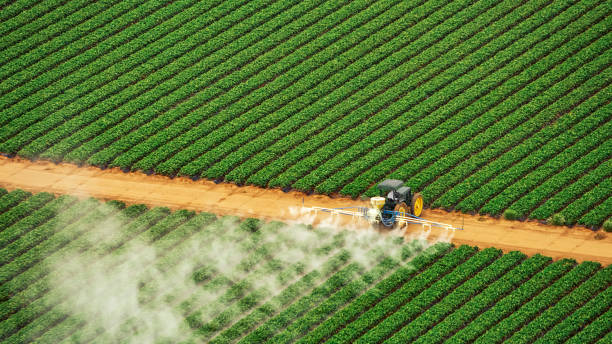 Best Pest Control Treatment  in Summerfield, NC