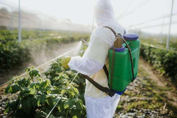 Trusted Summerfield, NC Pest Control Experts